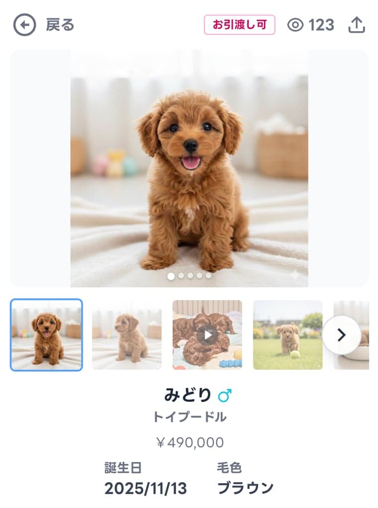 トップブリーダーが公開する「わんちゃんカルテ」画像