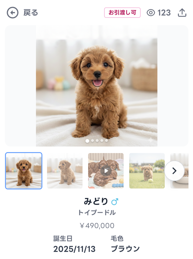 トップブリーダーが公開する「わんちゃんカルテ」画像